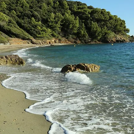 Location Corsica Daire