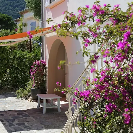 Location Corsica Διαμέρισμα Cavalaire-sur-Mer